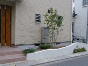 シンボルツリーのシマトネリコ