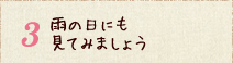 雨の日にも見てみましょう