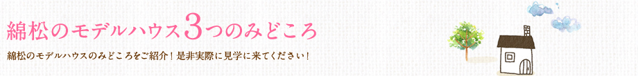 綿松のモデルハウス３つのみどころ
